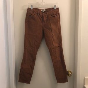 Madewell burnt orange corduroy pants